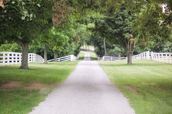 Gravel Driveway Construction in Glen Allen