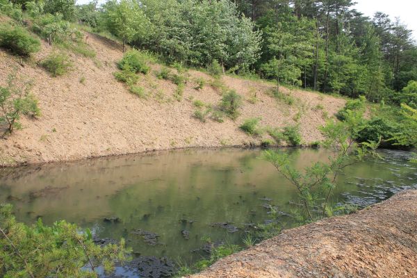 Cost of Pond Erosion Repair in Glen Allen