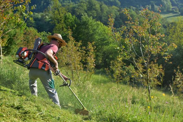 Cost of Slope Trimming in Glen Allen